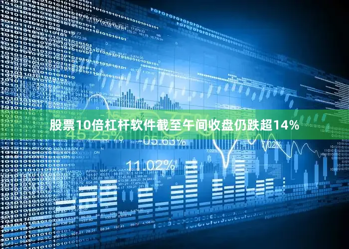 股票10倍杠杆软件截至午间收盘仍跌超14%