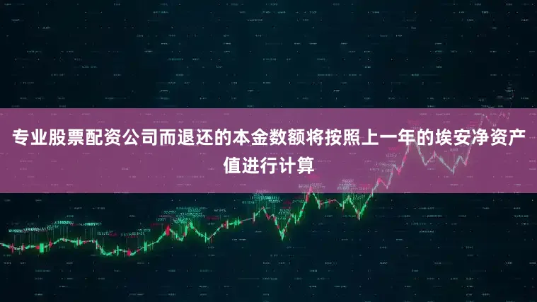 专业股票配资公司而退还的本金数额将按照上一年的埃安净资产值进行计算