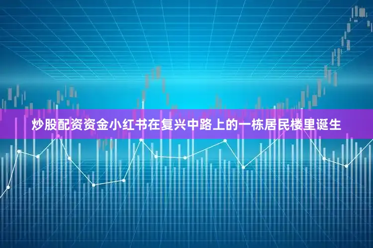 炒股配资资金小红书在复兴中路上的一栋居民楼里诞生
